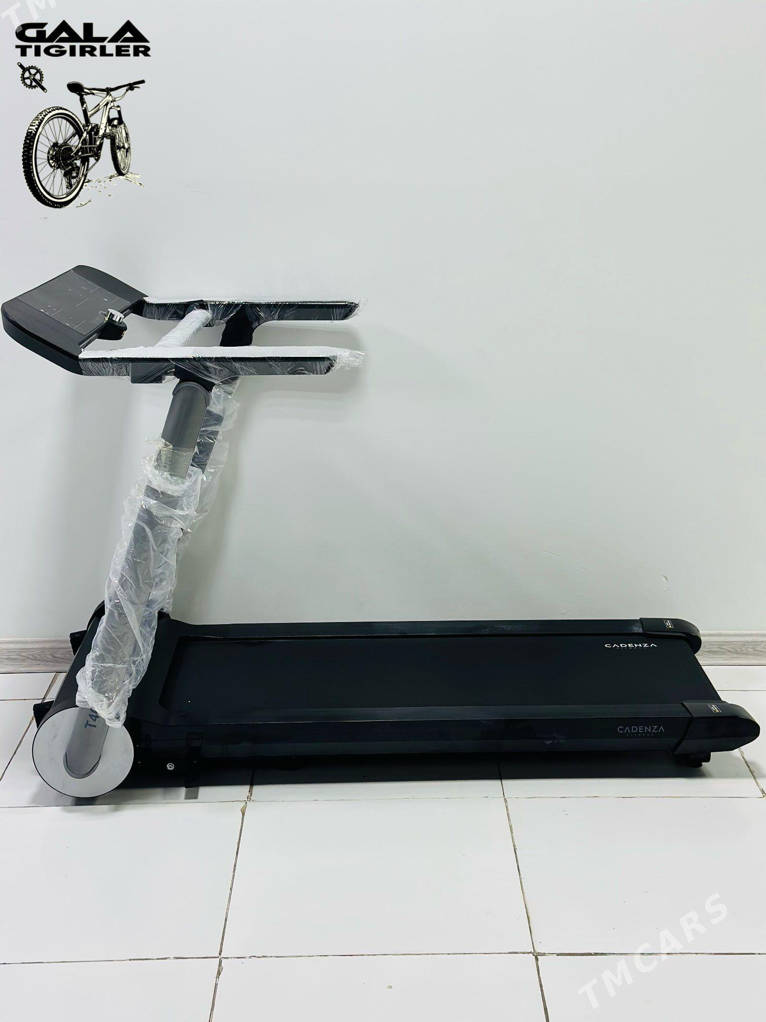 TIGIR SAMAKAT BEGAWOY LIZA TOK - Gurtly - img 5