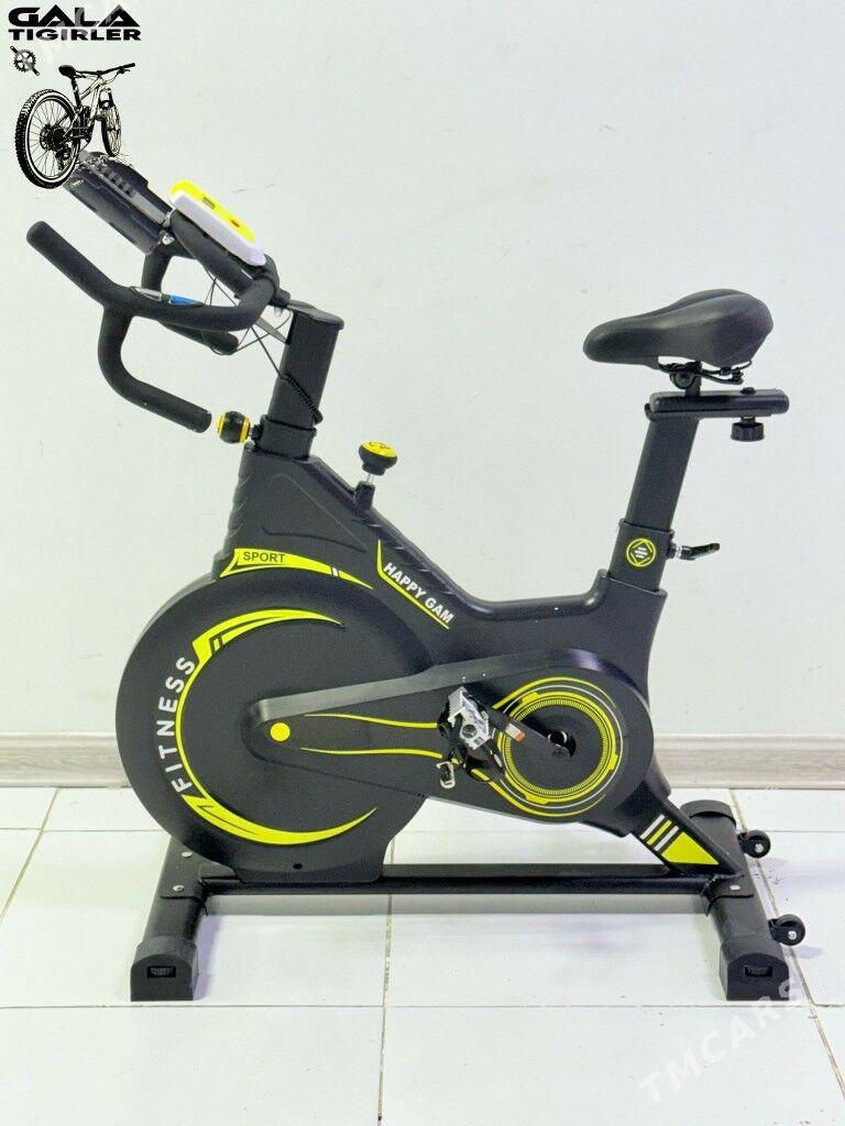 TIGIR SAMAKAT BEGAWOY LIZA TOK - Gurtly - img 3