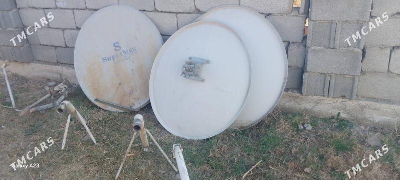 kiçi anten - Ak bugdaý etraby - img 2