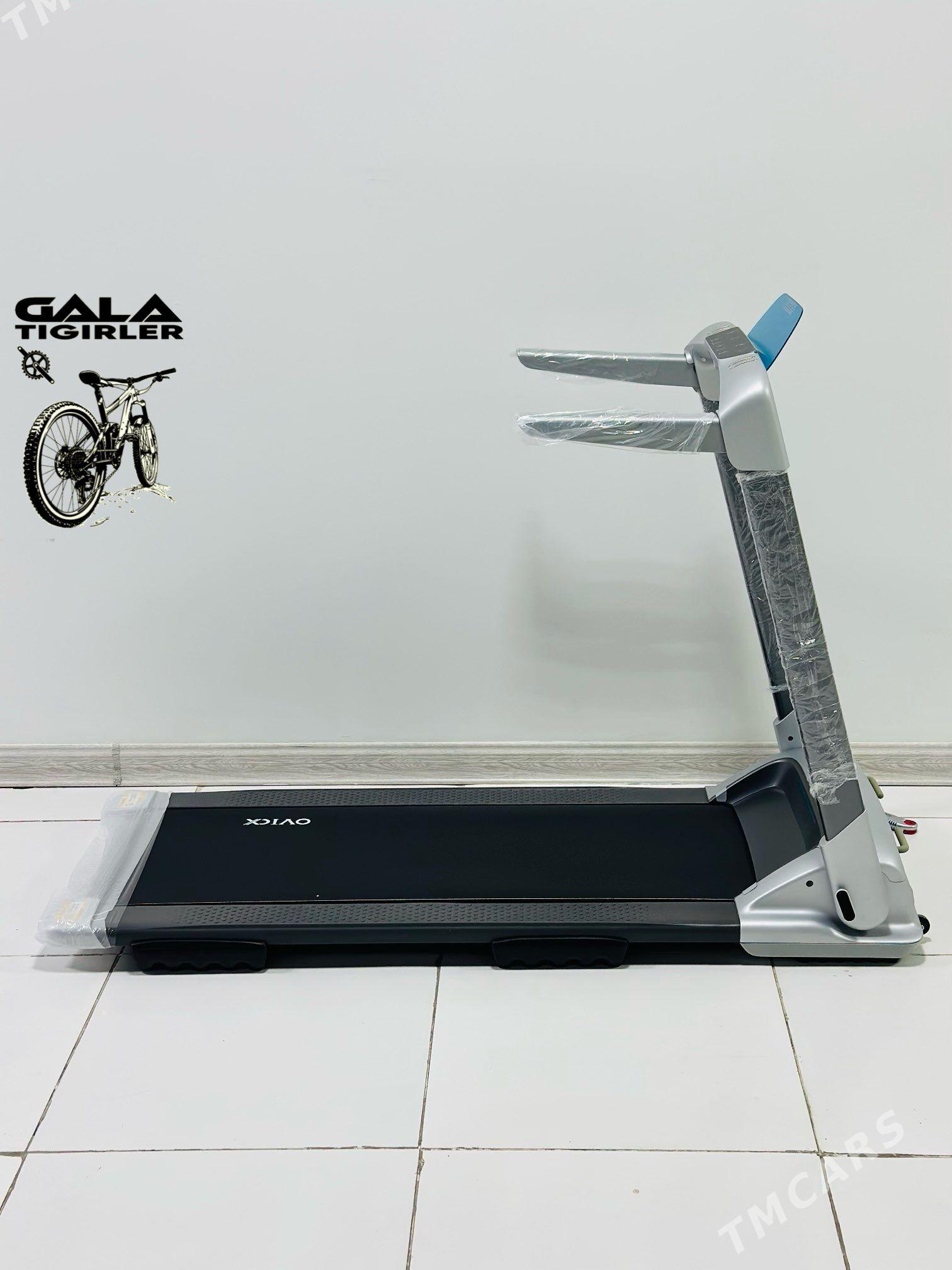 TIGIR SAMAKAT BEGAWOY LIZA TOK - Gurtly - img 6