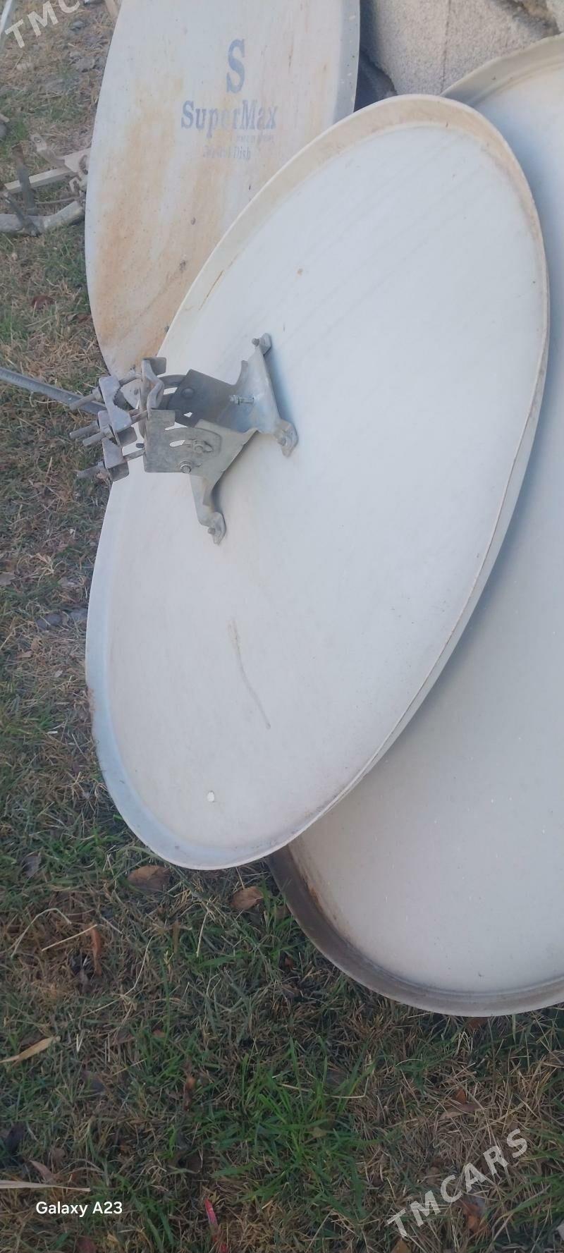 kiçi anten - Ak bugdaý etraby - img 3