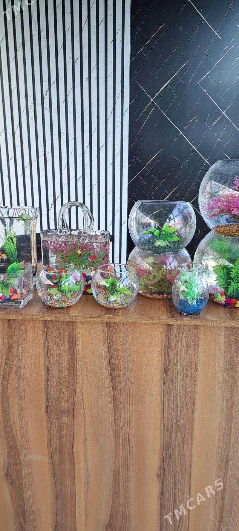 для рыб - Ашхабад - img 4