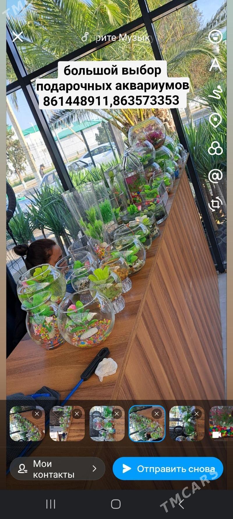 для рыб - Ашхабад - img 3