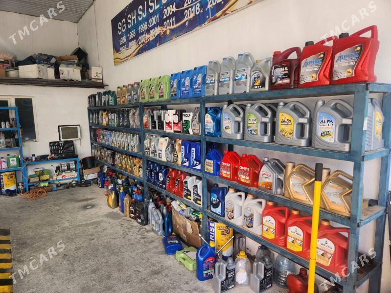 tayyn biznes yag magazyn - Änew - img 4