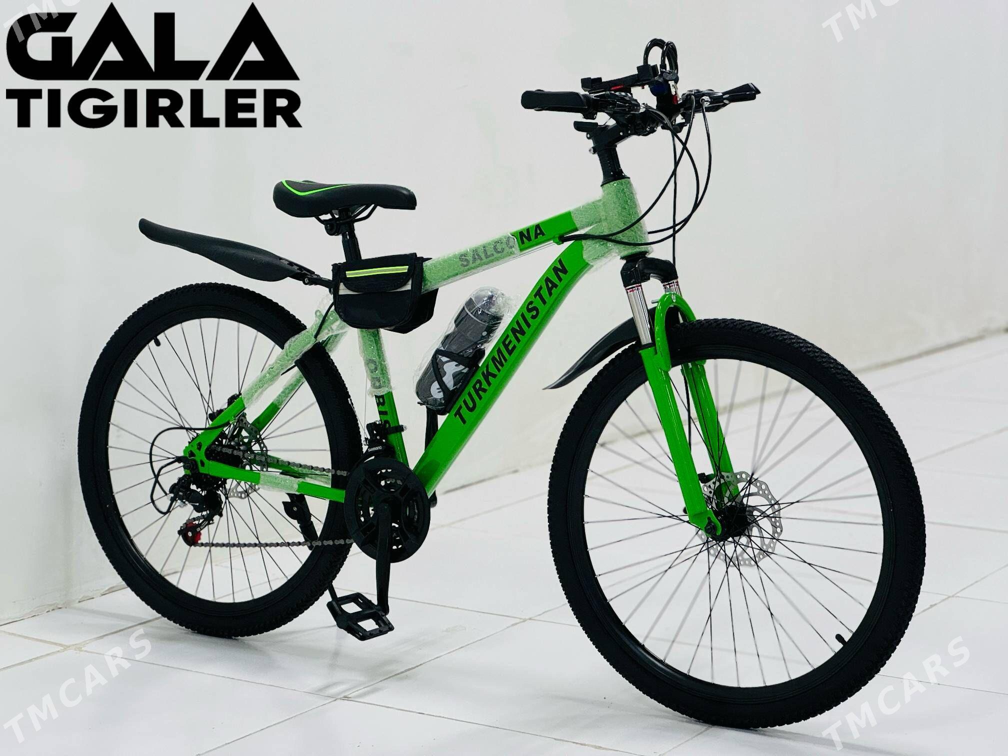 TIGIR TURKMENISTAN MAGAZYN TOK - Gurtly - img 7