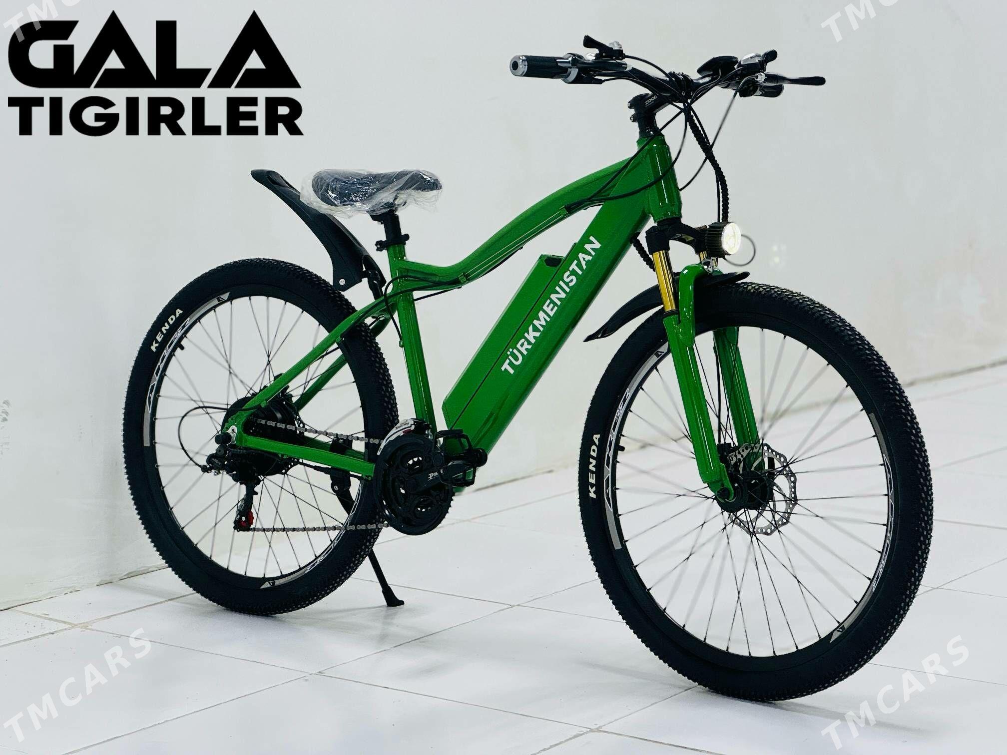 TOKLY TURKMENISTAN TIGIR KREDT - Gurtly - img 7