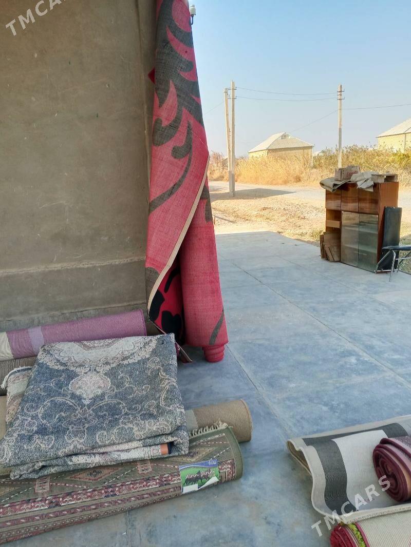 Haly - Tejen - img 4