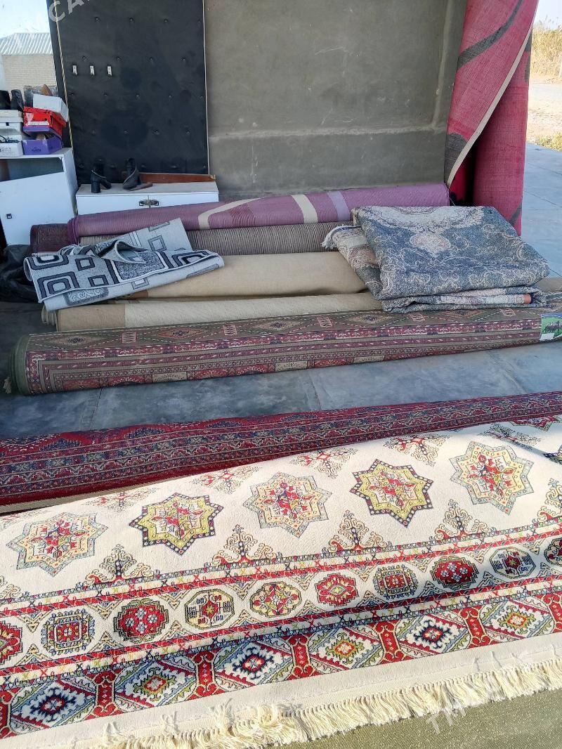 Haly - Tejen - img 2