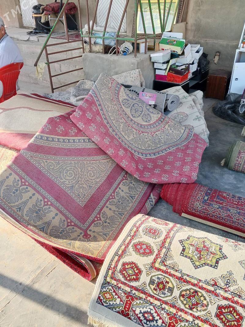 Haly - Tejen - img 5