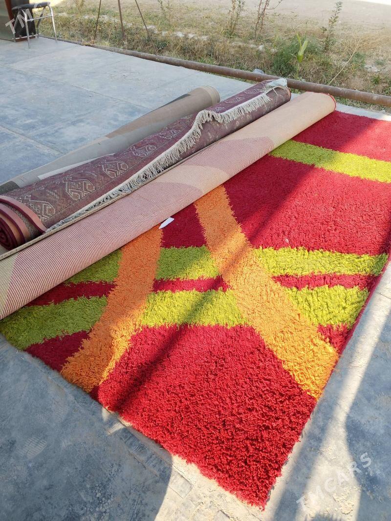 Haly - Tejen - img 3