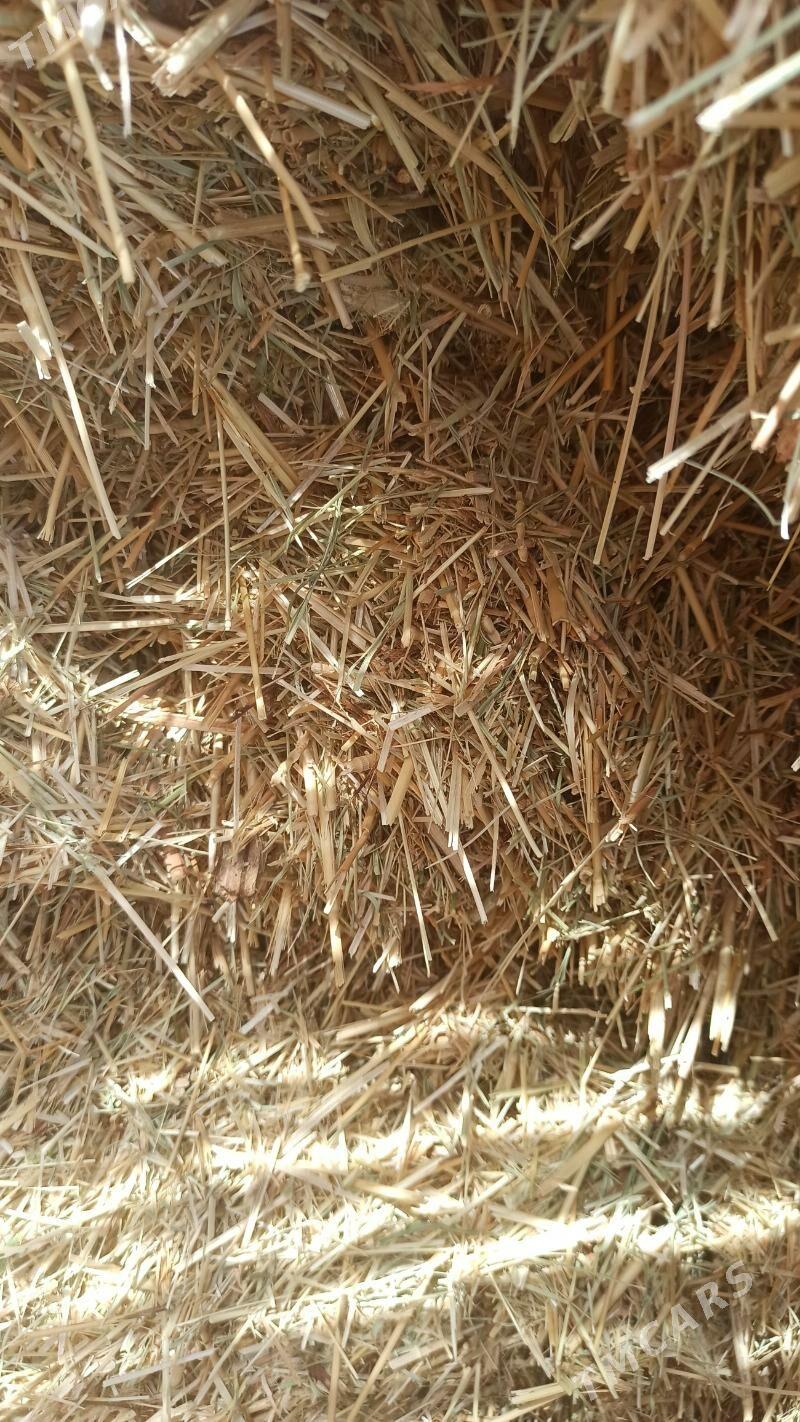 saman üvelen - Мары - img 2