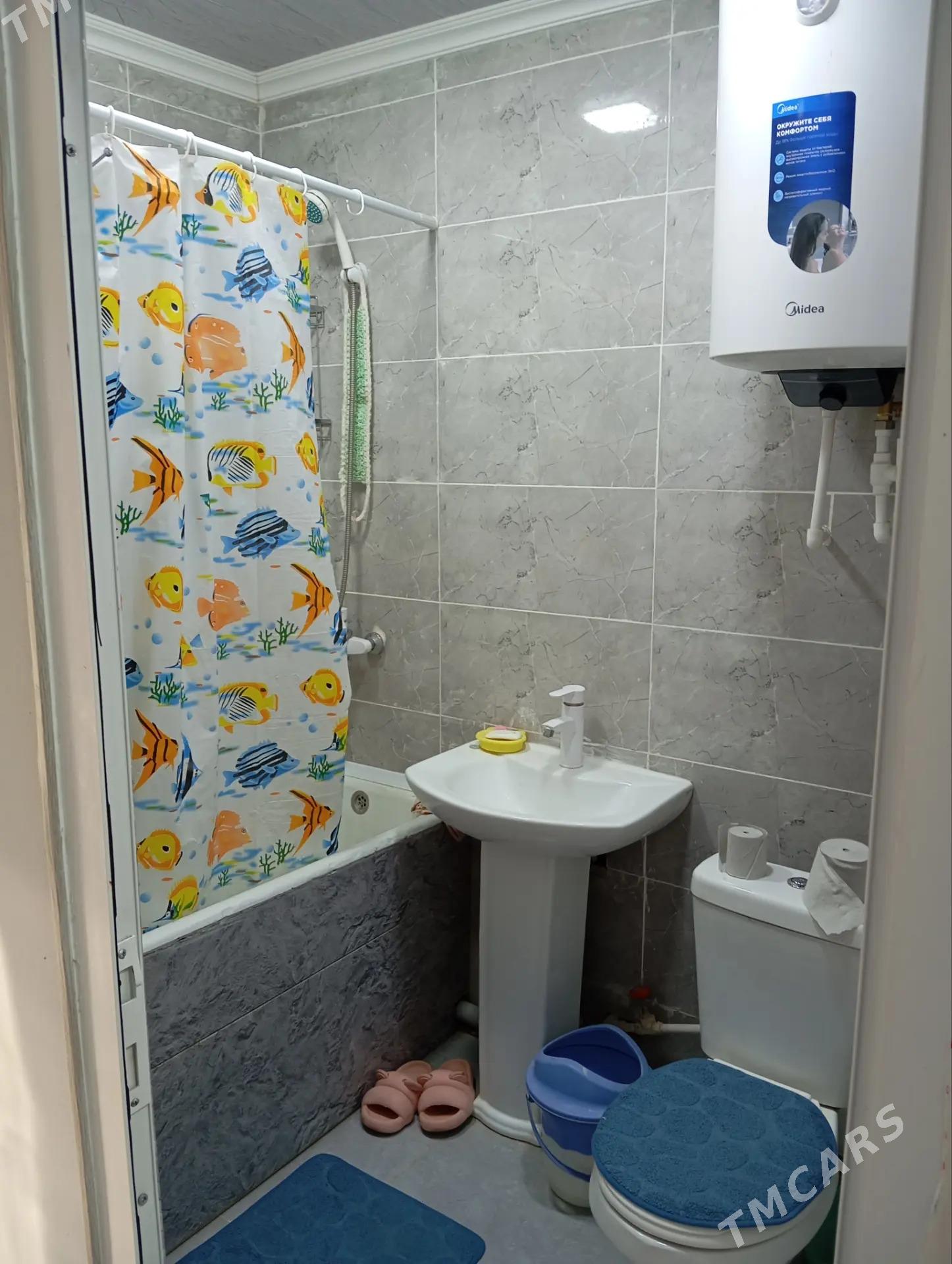 Arenda jay - Mary - img 2