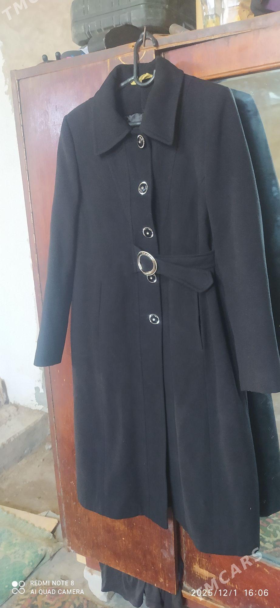 Paltun  koja kastym - Köneürgenç - img 2