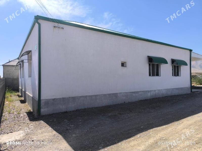 Bereketli zaman Gawers - Änew - img 10