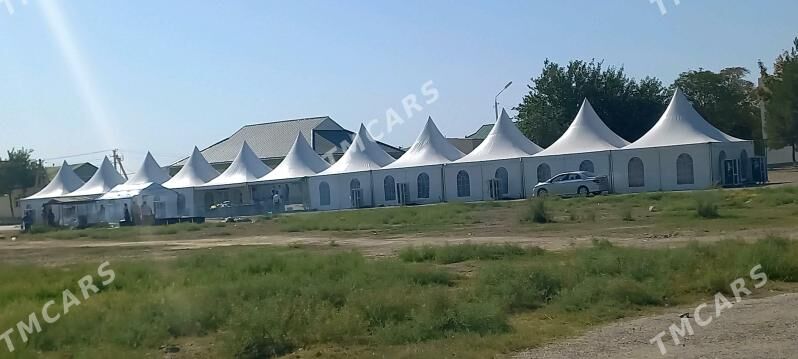 Gul bilbil toy hyzmatlary - Daşoguz - img 10