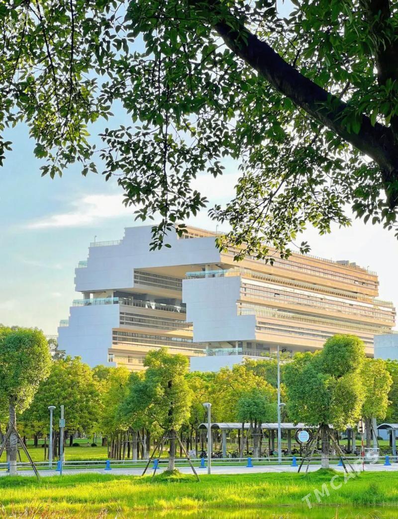  AKSIYA HYTAÝDA OKUW  - Mary - img 6