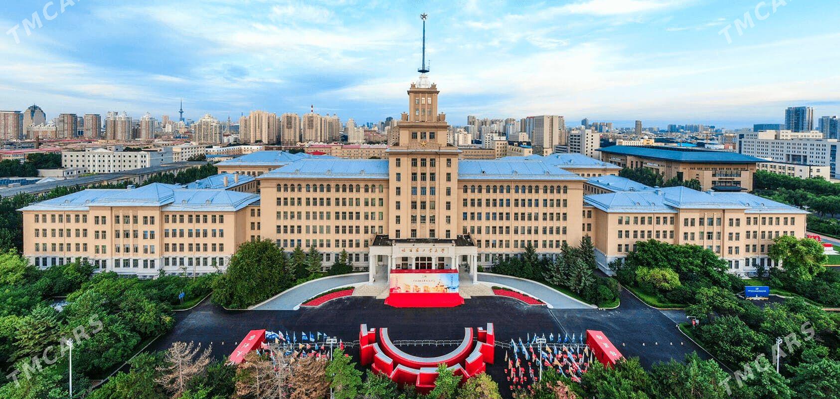  AKSIYA HYTAÝDA OKUW  - Mary - img 7