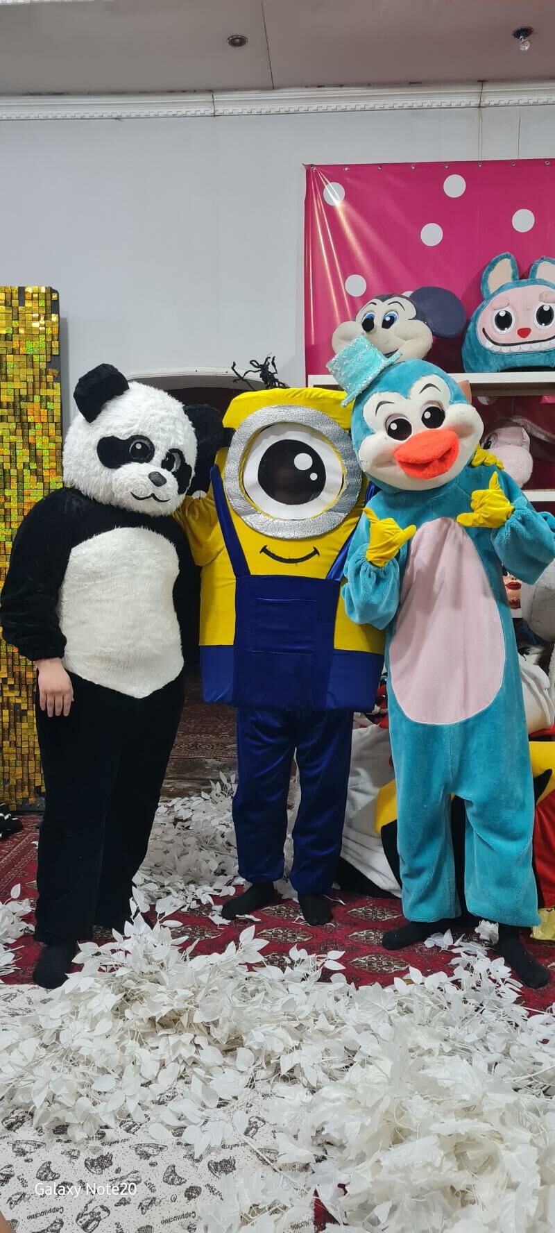 mişka,panda,animator,kloun - Туркменабат - img 4