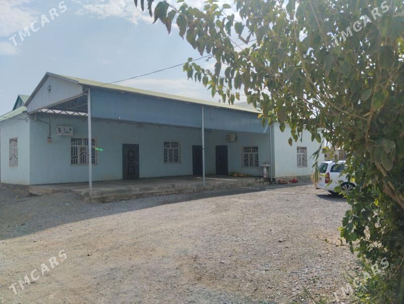 yer jay - Гёкдепе - img 1