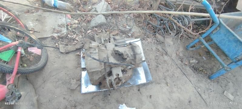 Sienna karopka 1 100 TMT - Sakarçäge - img 5