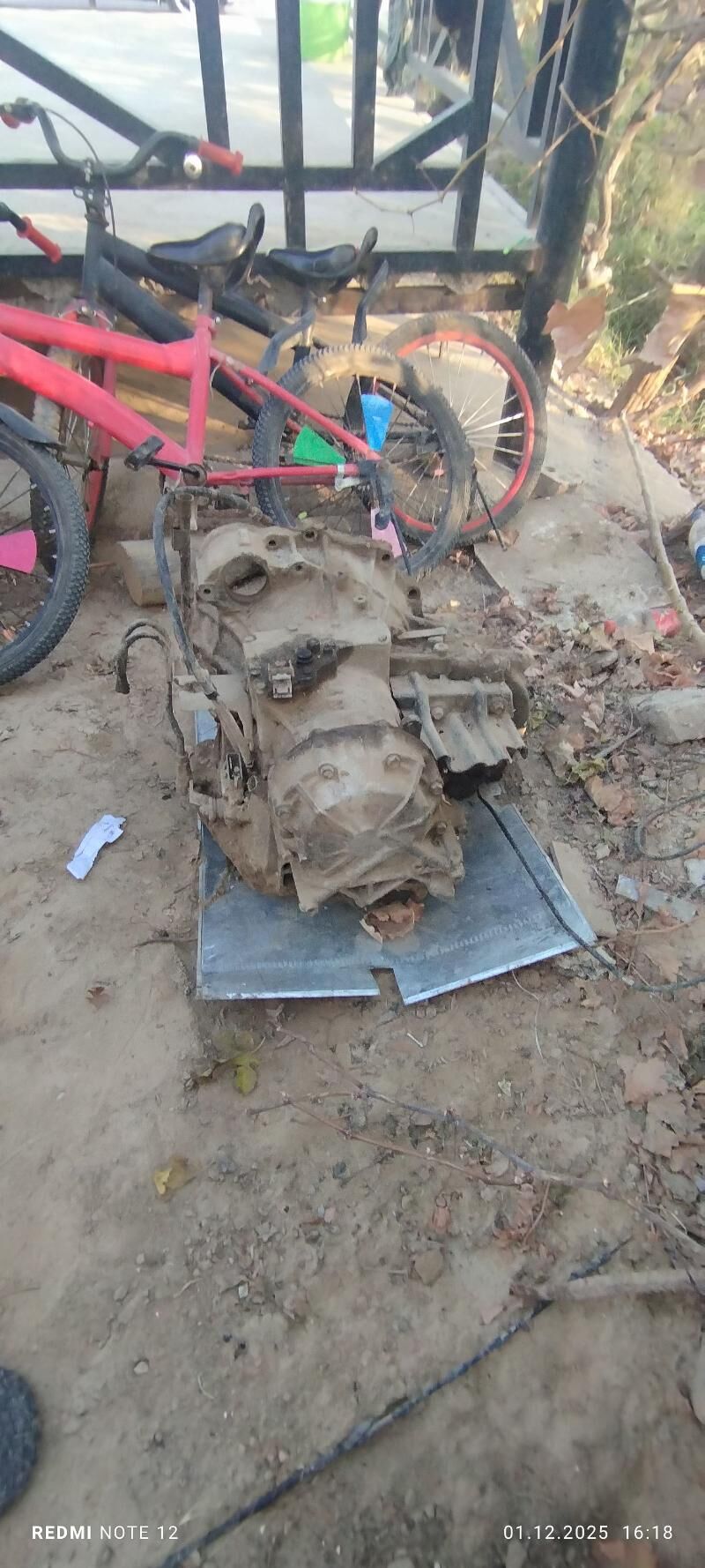 Sienna karopka 1 100 TMT - Sakarçäge - img 3