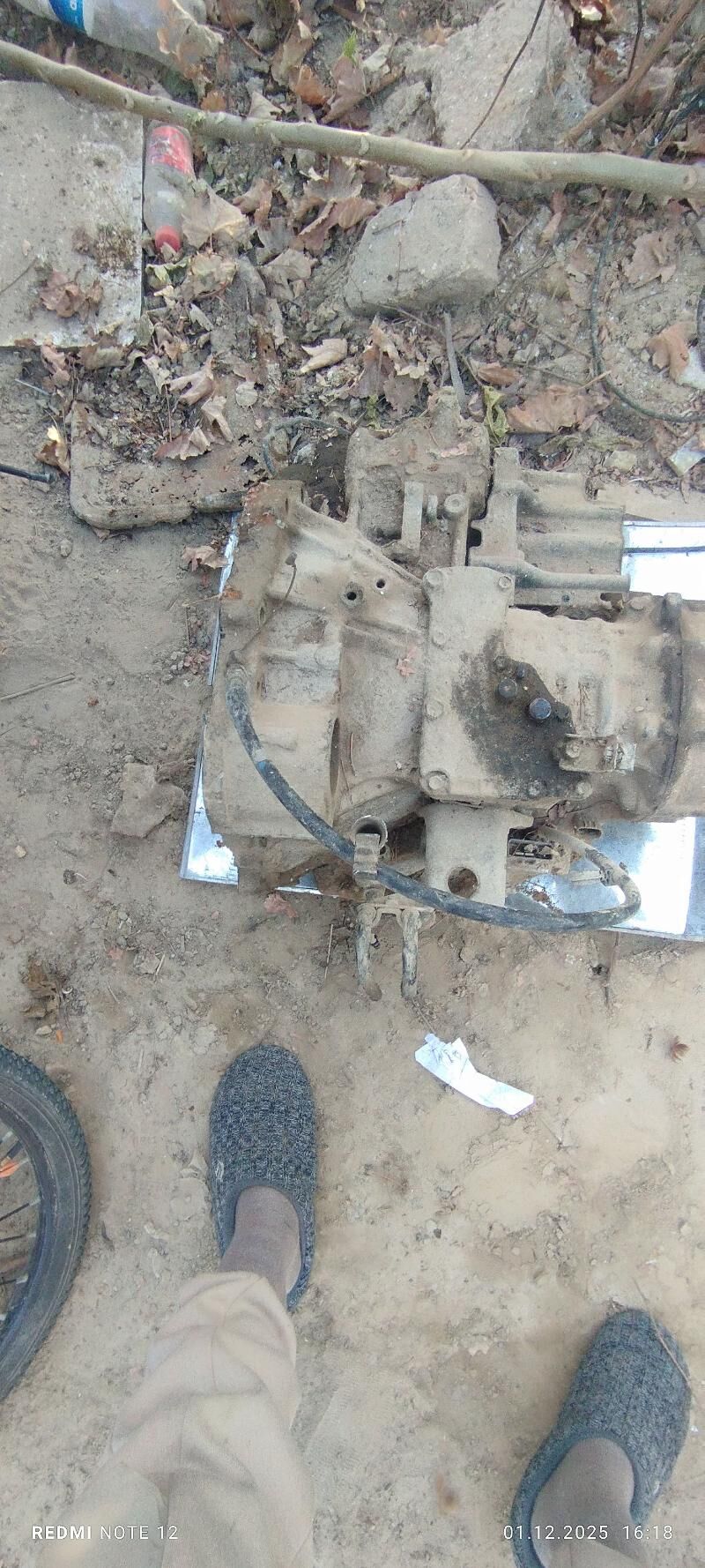 Sienna karopka 1 100 TMT - Sakarçäge - img 2