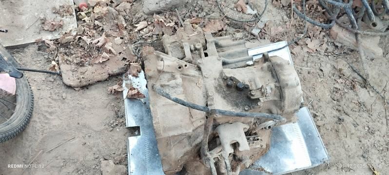 Sienna karopka 1 100 TMT - Sakarçäge - img 4