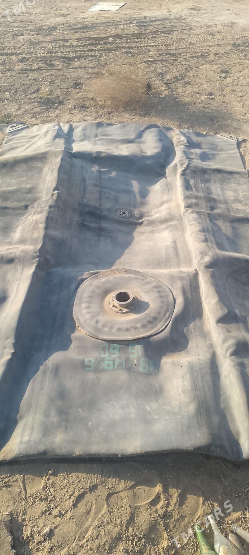 irzinwoy bocga - Mary - img 2