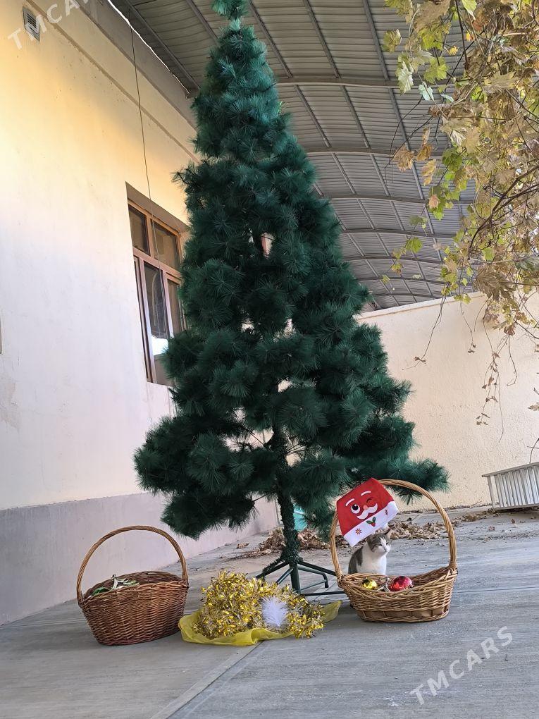 Arça, Ёлка - Çoganly - img 6