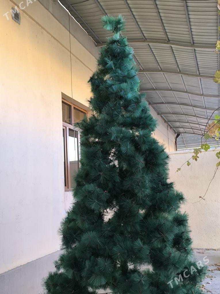 Arça, Ёлка - Çoganly - img 3