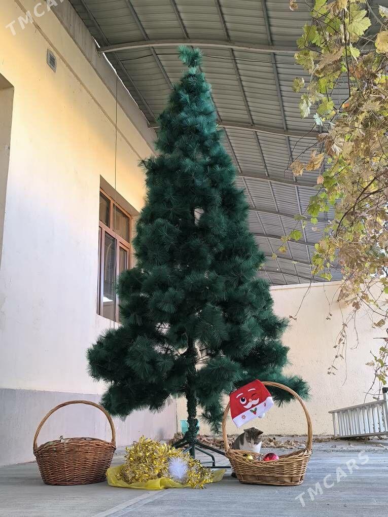 Arça, Ёлка - Çoganly - img 5