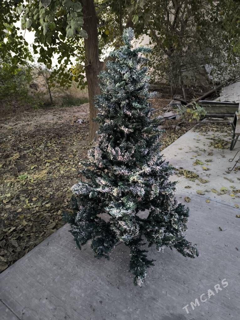 Arça - Ашхабад - img 3