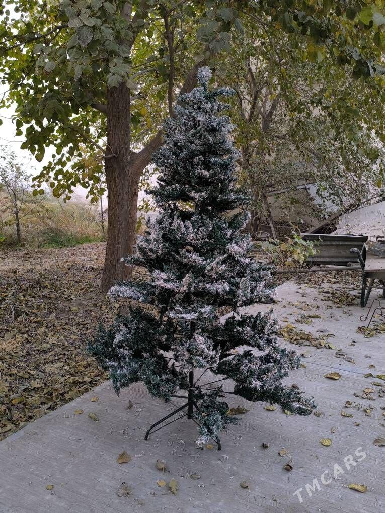 Arça - Ашхабад - img 2