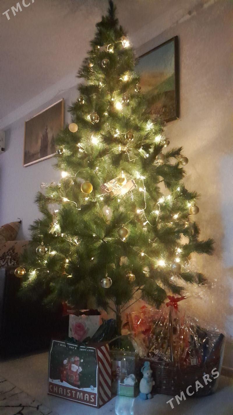 Ёлка - Aşgabat - img 2