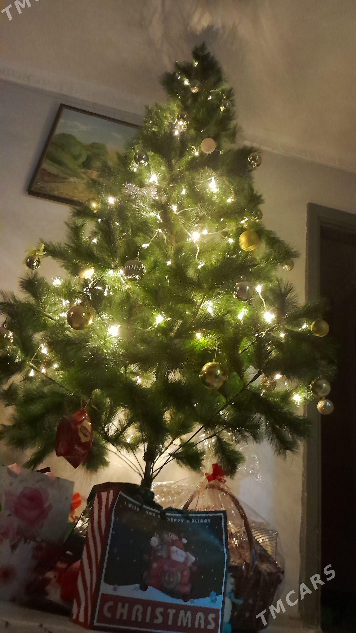 Ёлка - Aşgabat - img 3