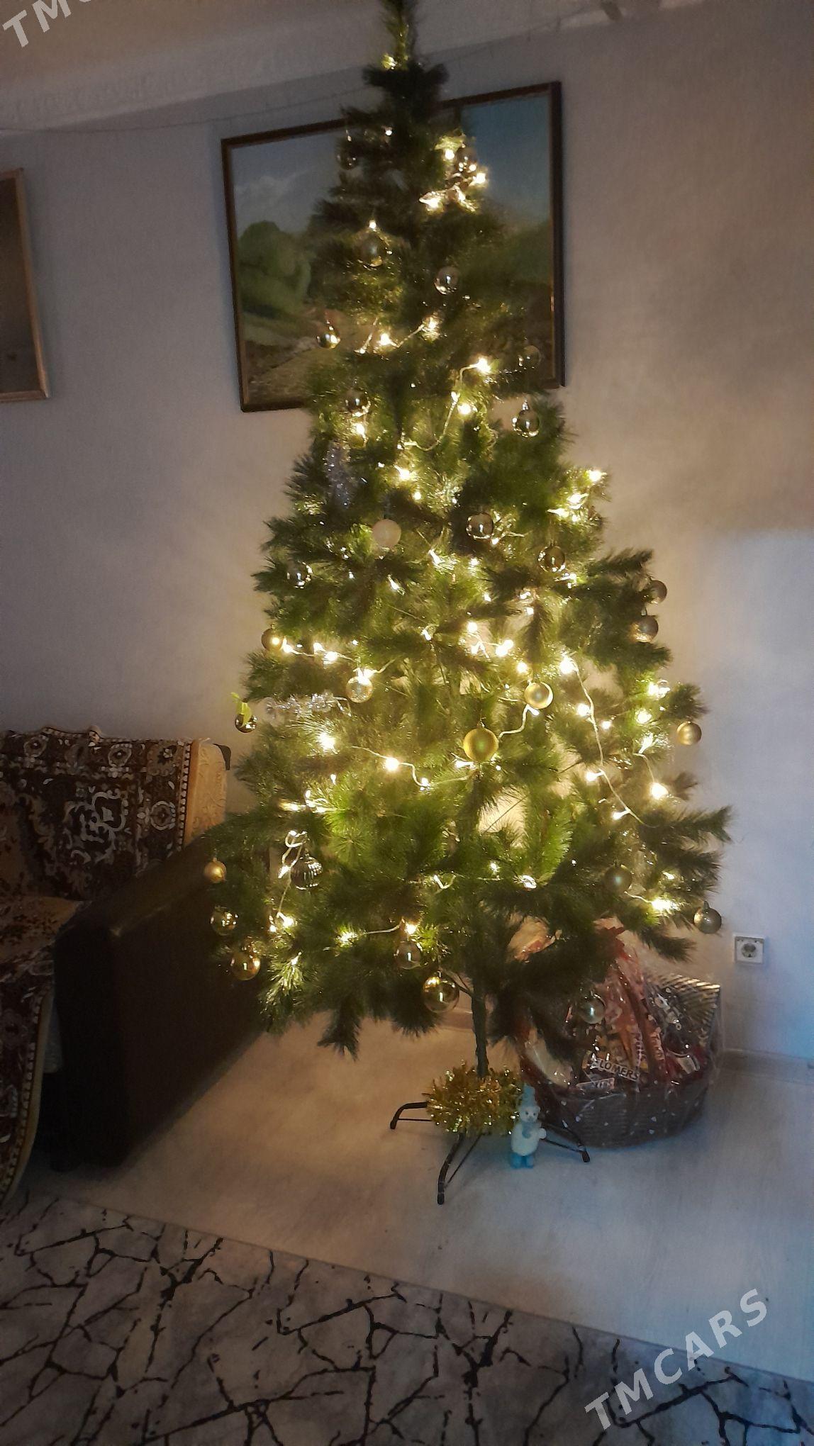 Ёлка - Aşgabat - img 4