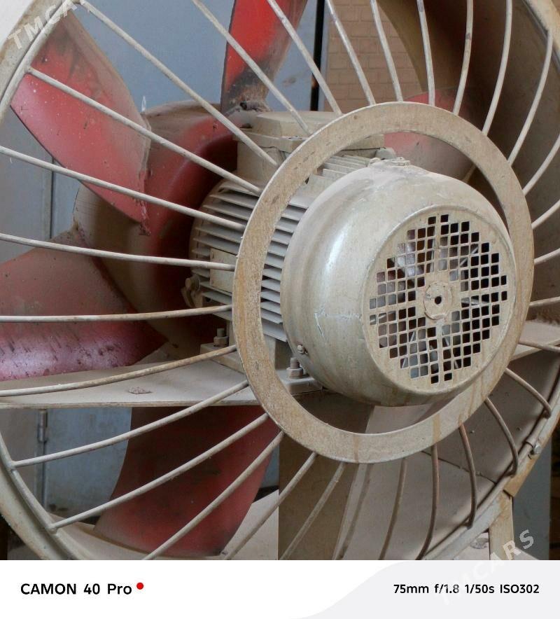 ЭЛЕКТРОДВИГАТЕЛ - Mary - img 3