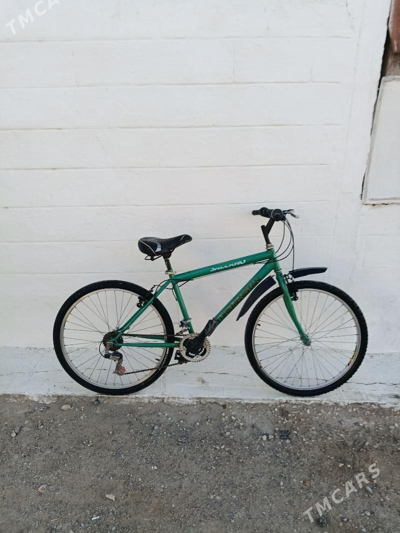 welik - Гумдаг - img 3