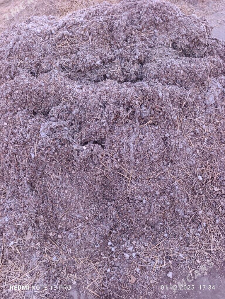 Mal oty cannalak - Саят - img 3