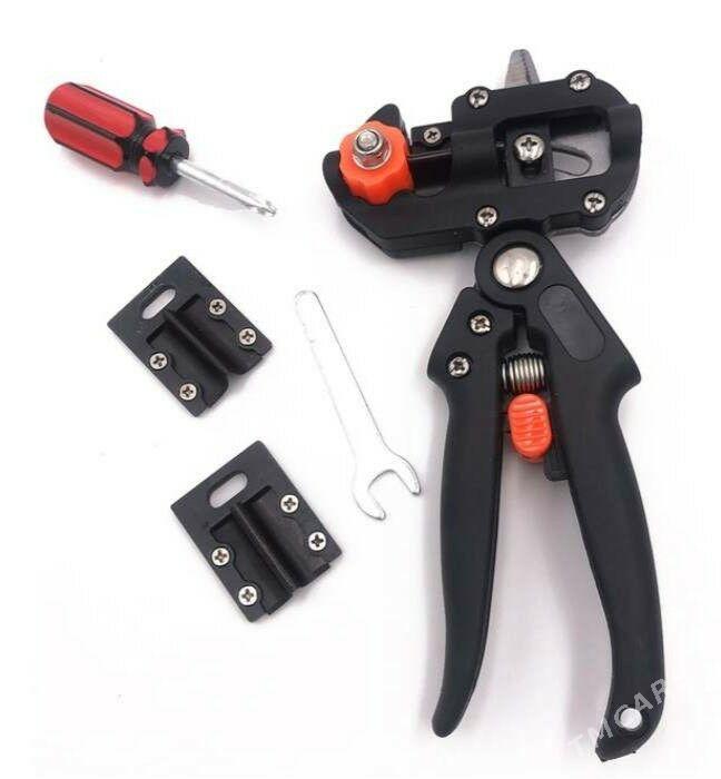 Sapma gaycy - Baýramaly - img 3