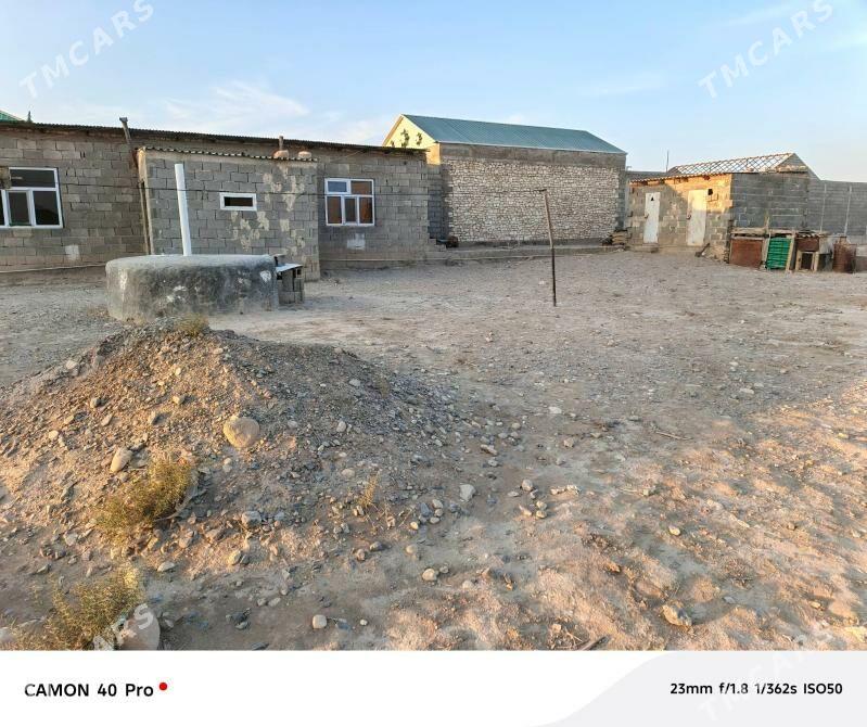 jaý - Гызыларбат - img 3