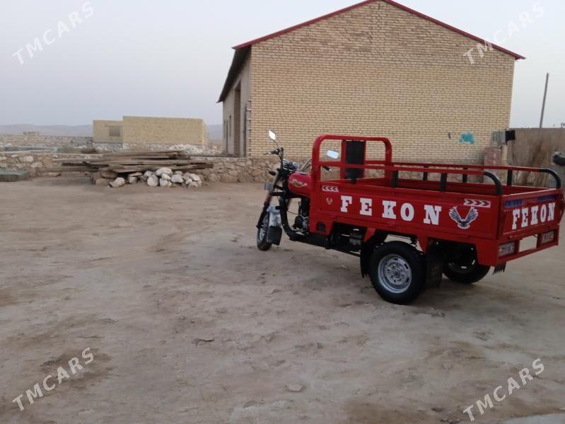 Fekon FK200-14G 2014 - 15 000 TMT - Kerki - img 3