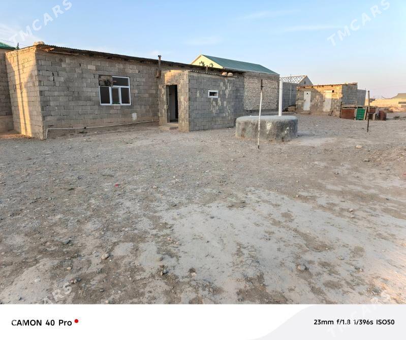 jaý - Гызыларбат - img 5