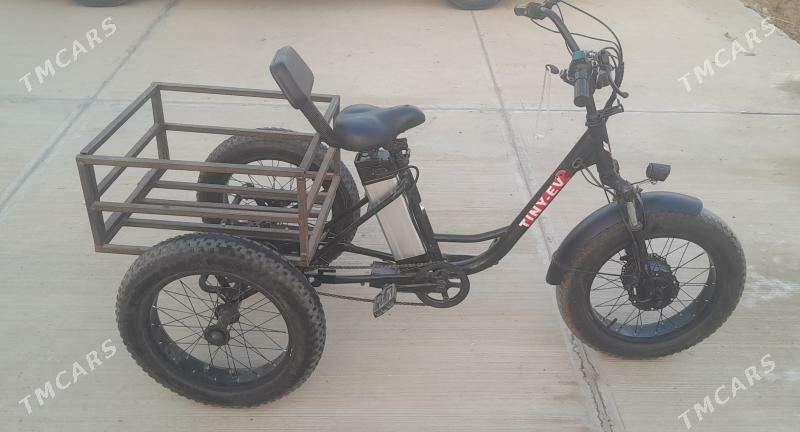 tokly tigir - Гёкдепе - img 3