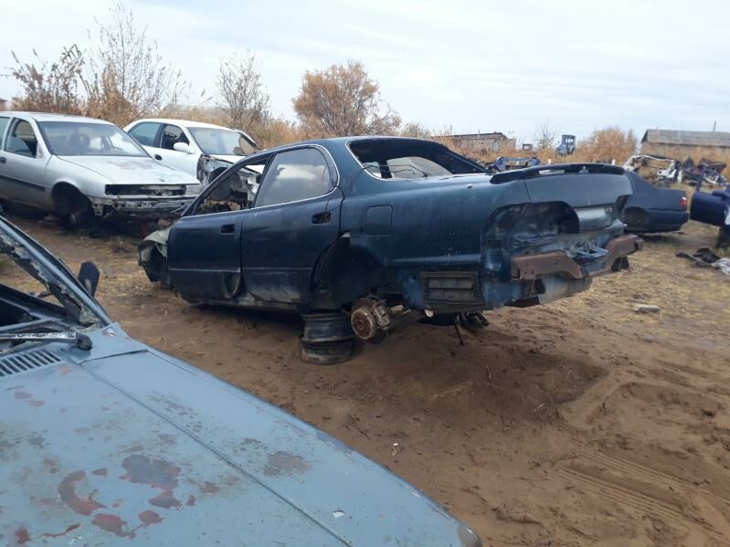 wista zapjaslyk 111 TMT - Бабадайхан - img 2