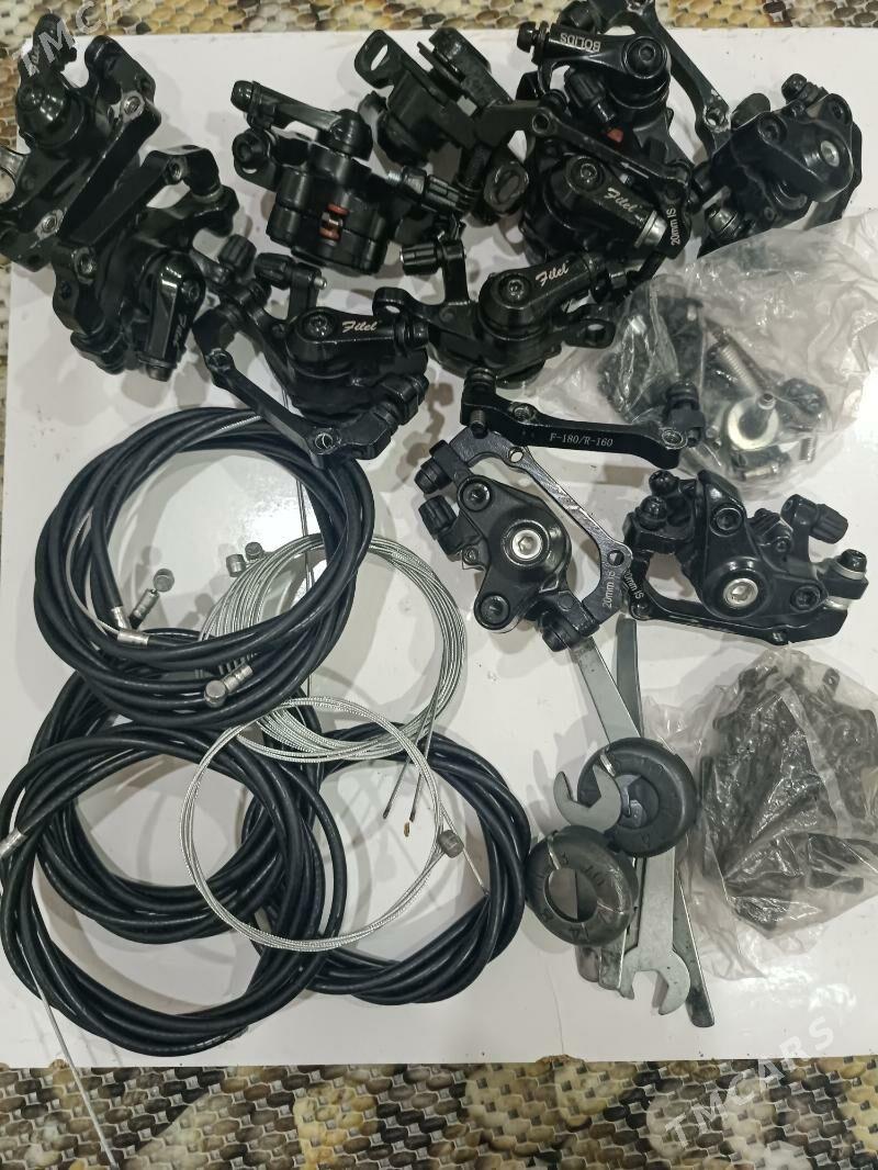 Tigiriñ zatlary - Gurtly - img 1