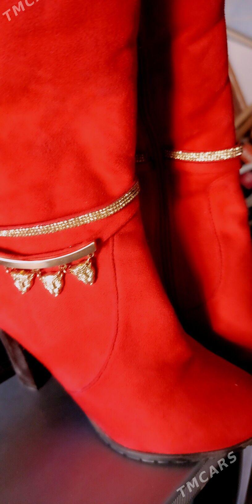 сапоги - Mary - img 3