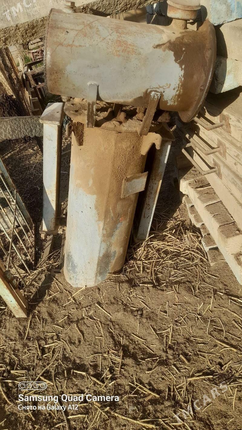 trasmatyr - Ak bugdaý etraby - img 2