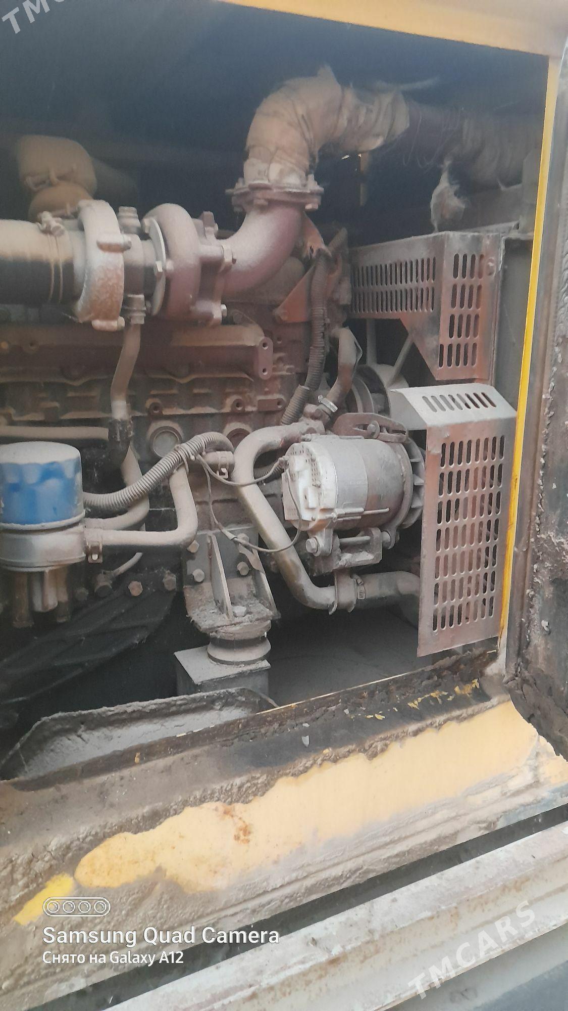 trasmatyr - Ak bugdaý etraby - img 1