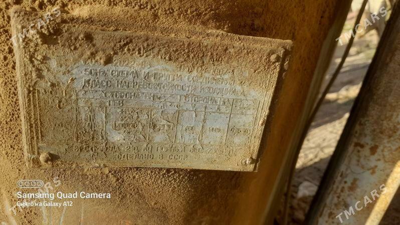 trasmatyr - Ak bugdaý etraby - img 3